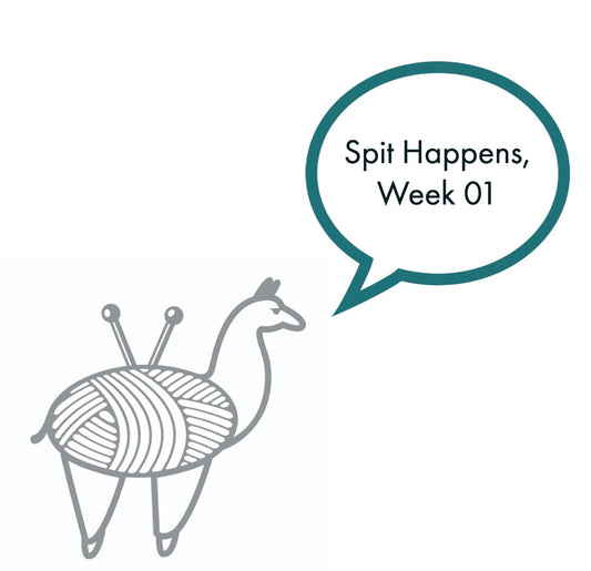 Spit Happens, Week 01