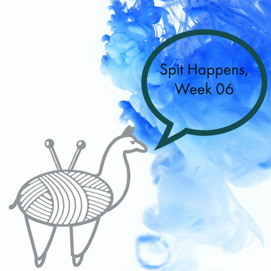 Spit Happens, Week 06
